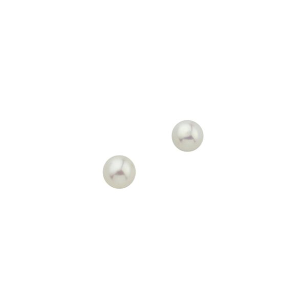 Ohrschmuck 5-123834-001 von CEM bei Juwelier Martin in Wittlich