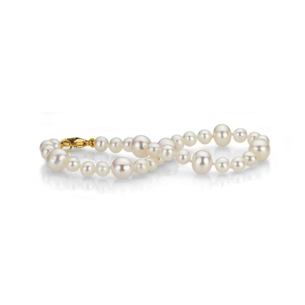 Armband 6-209410-001 von CEM bei Juwelier Martin in Wittlich