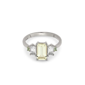 Damenring 12411S/56 von 24Kae bei Juwelier Martin in Wittlich
