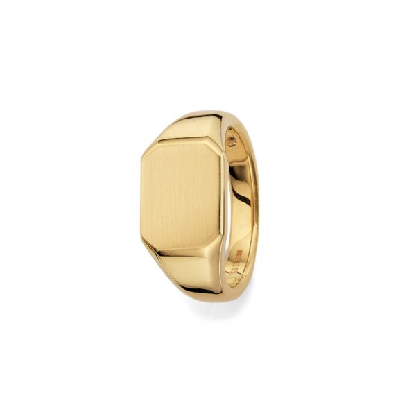 Ring 6-211693-001 von CEM bei Juwelier Martin in Wittlich