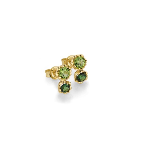 Ohrschmuck 6-211721-001 von CEM bei Juwelier Martin in Wittlich