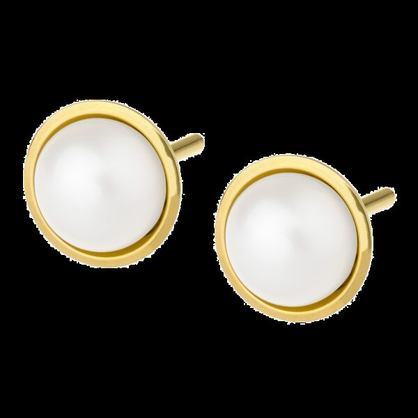 Ohrschmuck E480