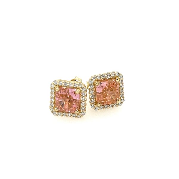 Ohrschmuck 6-212357-001 von CEM bei Juwelier Martin in Wittlich