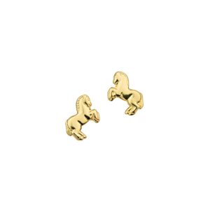 Ohrschmuck 6-119470-001 von CEM bei Juwelier Martin in Wittlich
