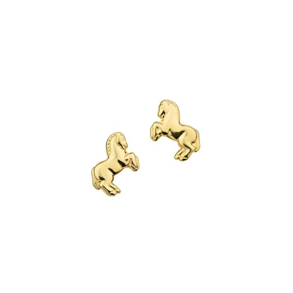 Ohrschmuck 6-119470-001 von CEM bei Juwelier Martin in Wittlich