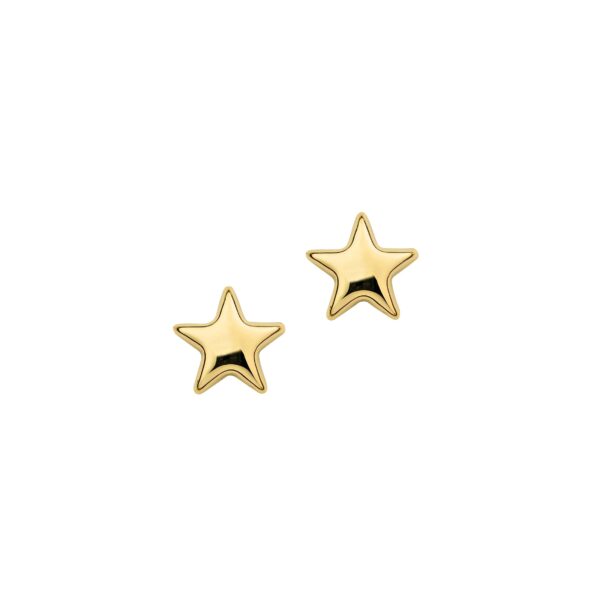 Ohrschmuck 6-119475-001 von CEM bei Juwelier Martin in Wittlich