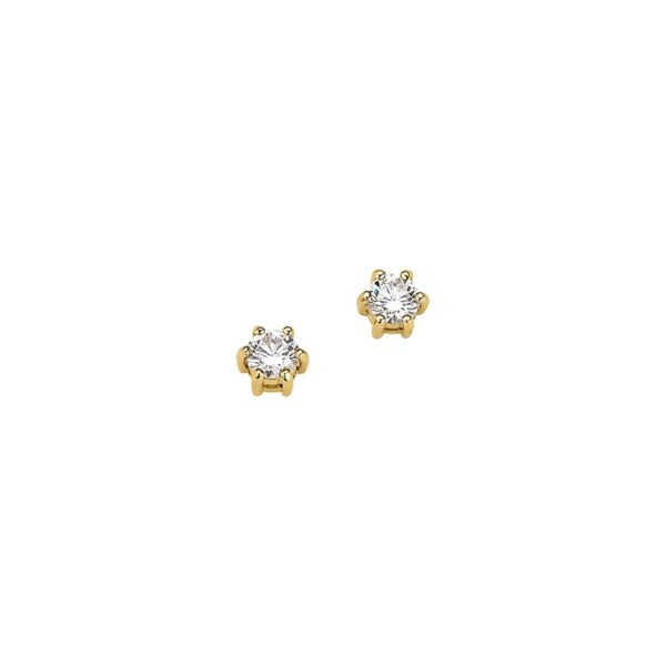 Ohrschmuck 6-205608-001 von CEM bei Juwelier Martin in Wittlich