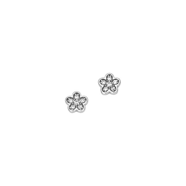 Ohrschmuck 6-207287-001 von CEM bei Juwelier Martin in Wittlich