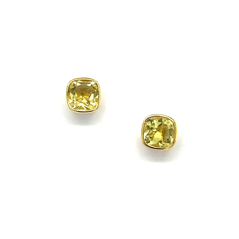 Ohrschmuck 5-213809-001 von CEM bei Juwelier Martin in Wittlich